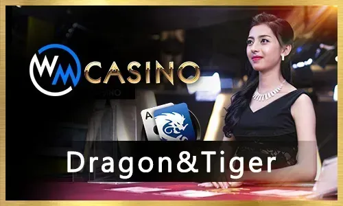 Live Casino Dealer